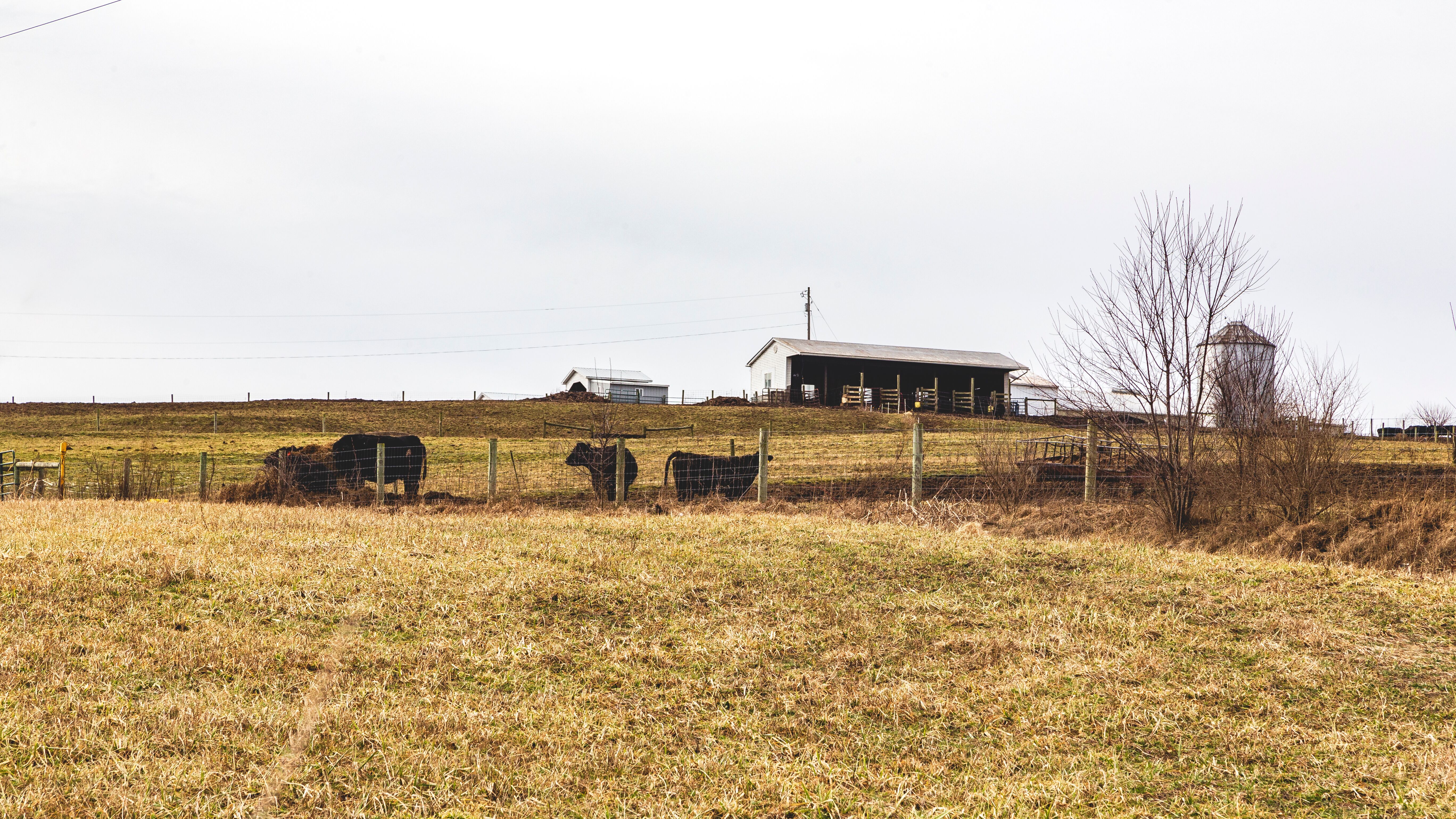 Base Camp Country Landowner Form Background | Base Camp Country