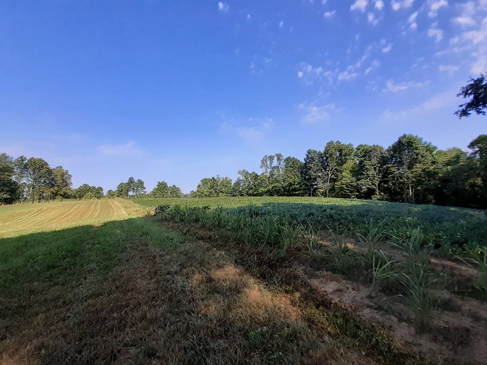 Land For Sale Guernsey County Ohio